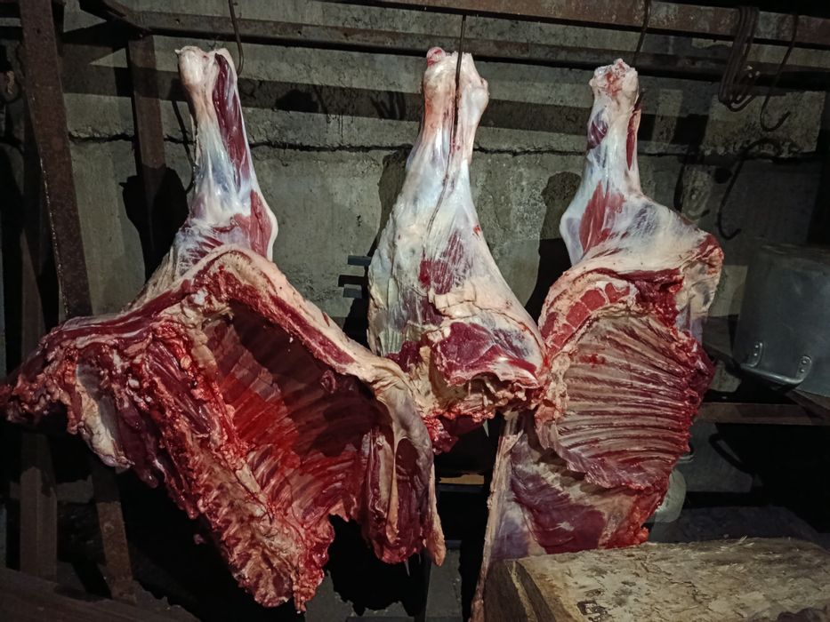 Срочно мясо говядина продается до утро