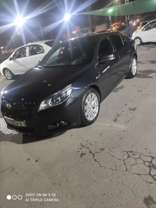 Malibu 1 3 pozitsa kraska tozza