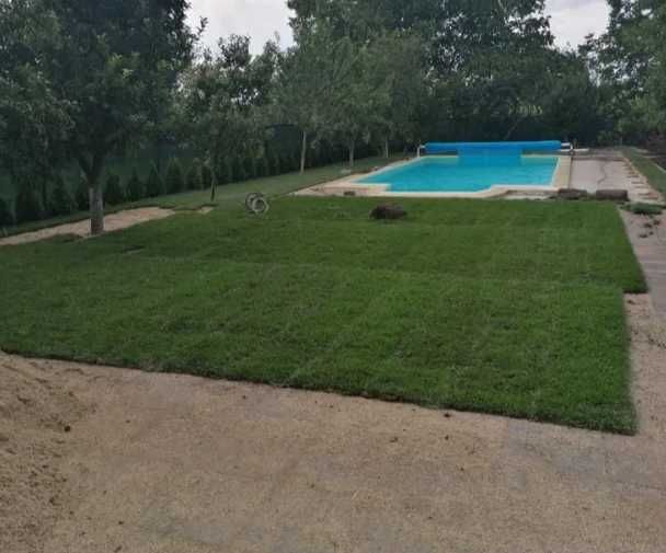 Gazon Rulou Sport premium