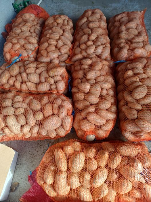 Cartofi consum alb si rosu