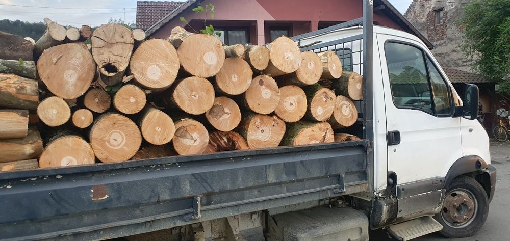 Lemne de foc esențe tari