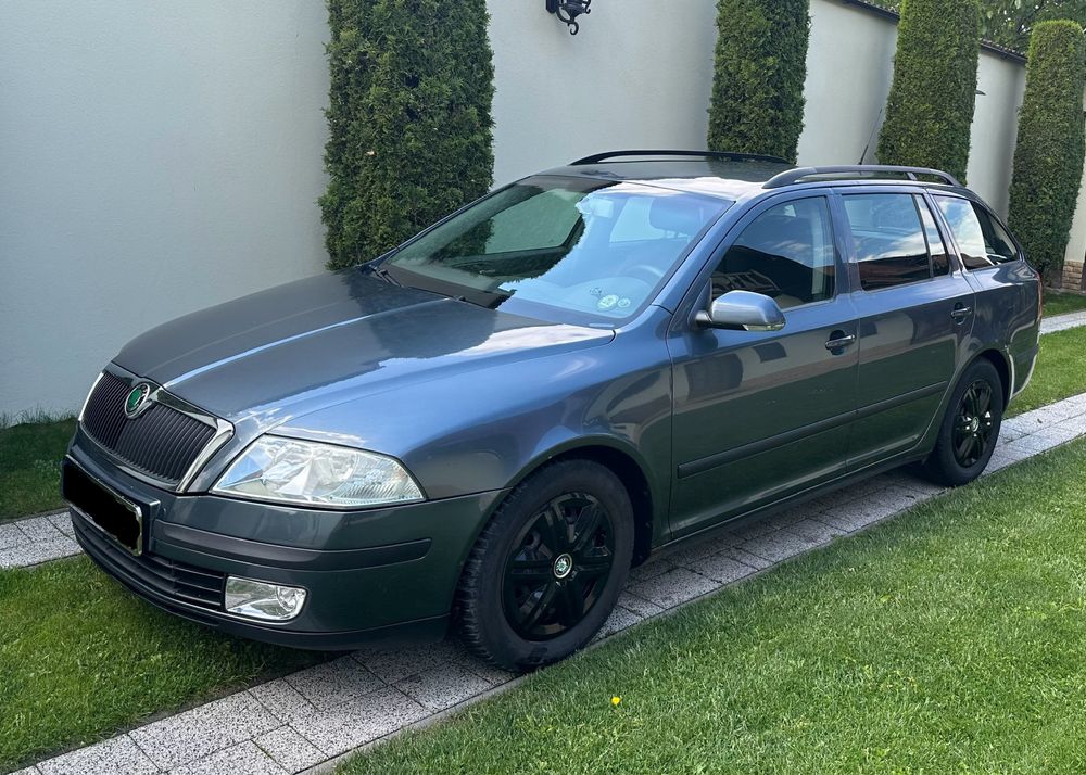 Skoda octavia - vand/schimb