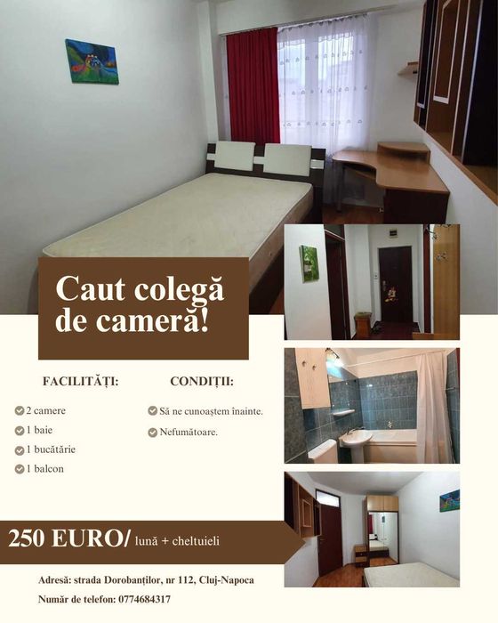 colegă de cameră