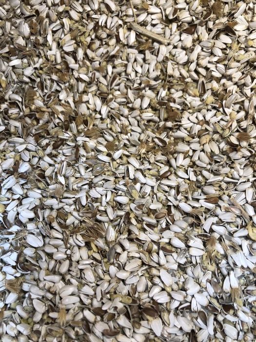 Сафлор дробленный