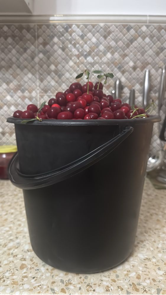 Продам вишню дачную