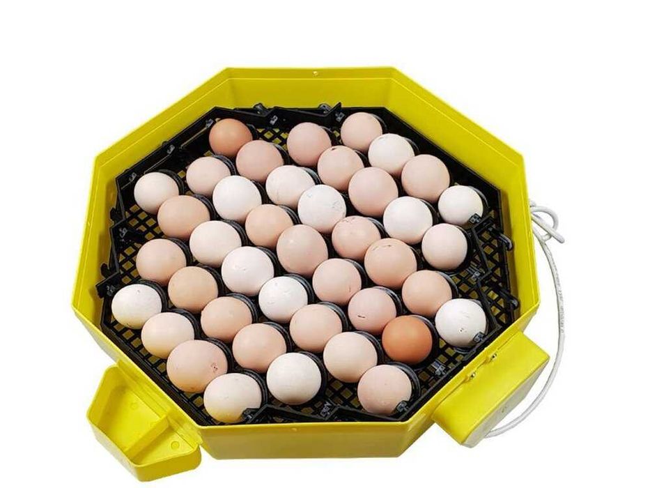 Автоматични румънски инкубатори за 41 яйца, директен вносител