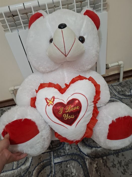 Yumshoq ayiq. Oyinchoq.