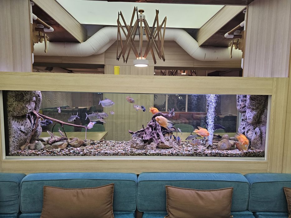 Продавам аквариум