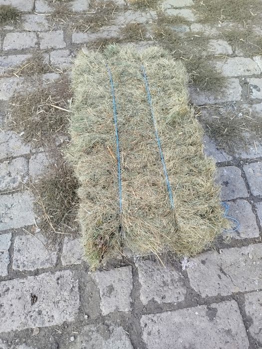 Baloți otava dreptunghiulari