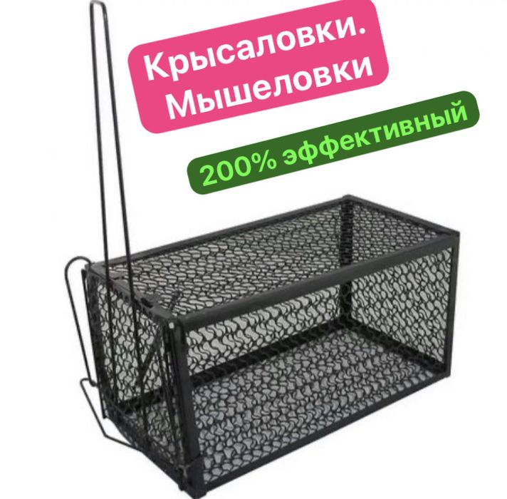 Крысаловки. 100% результат. Крысаловка. Мышеловка. Клетка для крыс