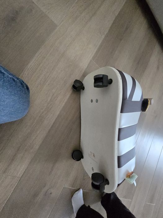 Zebra penteu copii (1-3ani) b.toys