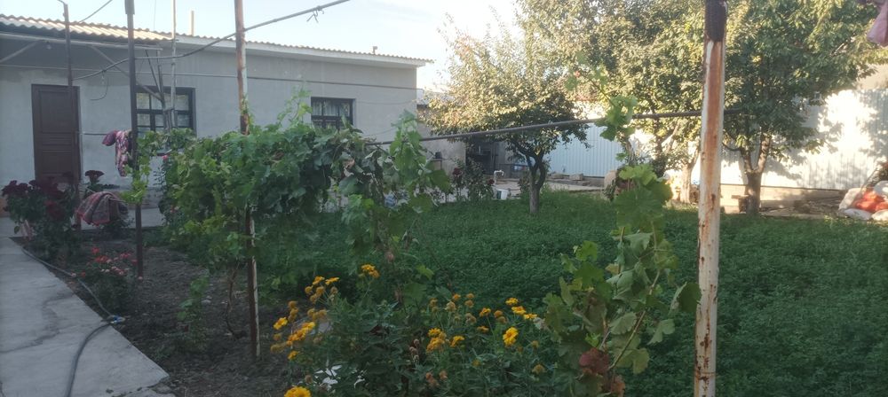 Уй сотилади юкори Чирчик тумани