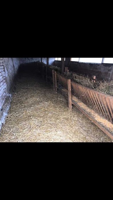 Продава се Къща в с. Кара Михал, Област Разград - 70 кв.м за 365 €/кв.м - Снимка #7