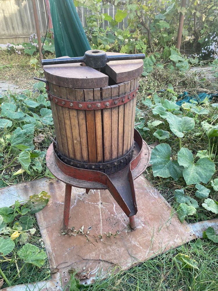 Teasc de struguri