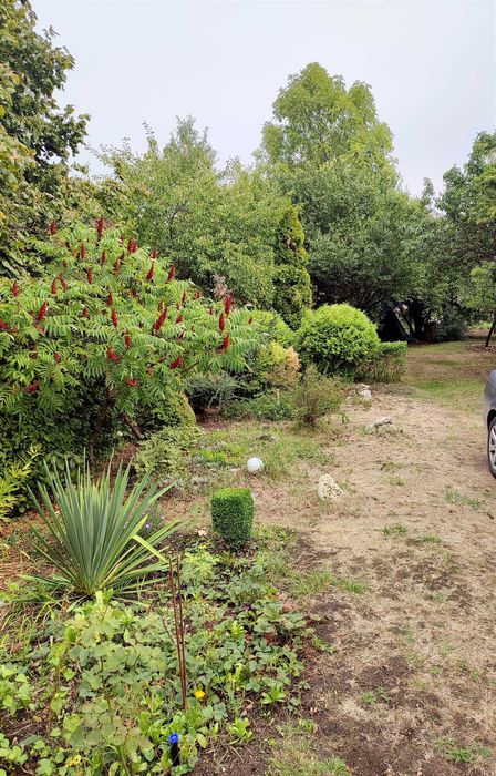 Продава се Къща в с. Алдомировци, Област София-област - 40 кв.м за 1875 €/кв.м - Снимка #15