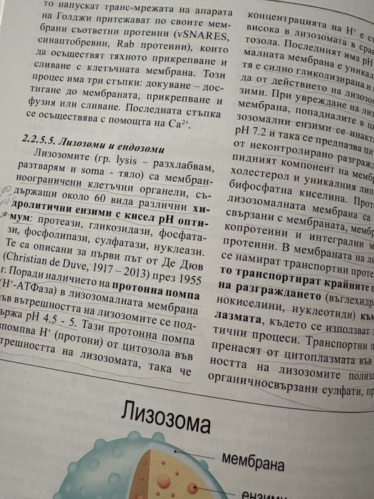 Учебник по Цитология, обща хистология и обща ембриология Вл. Овчаров