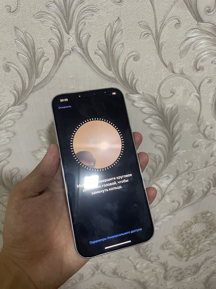 Iphone 12 pro max 256 gb