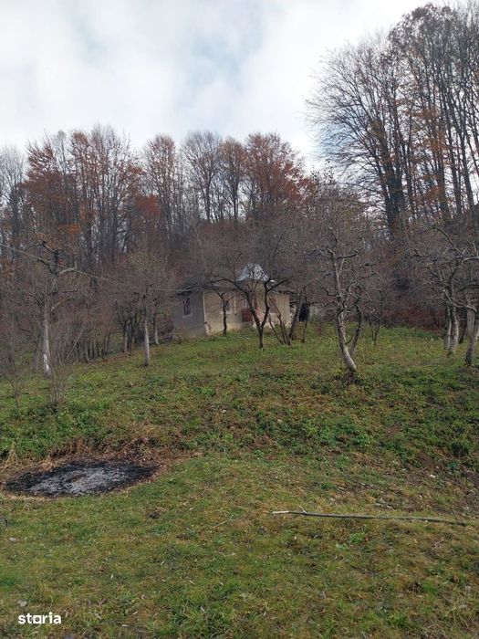 Teren de vanzare 2200 mp, Raul Alb ,DB