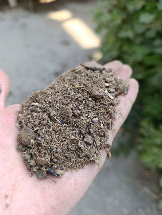 Poru kesak qoyniki sotiladi elangan qoplangan