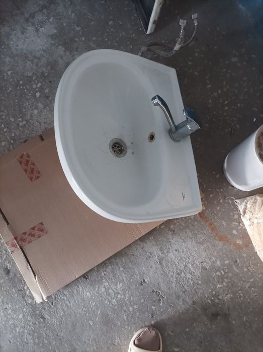 Отдам даром раковину тюльпан