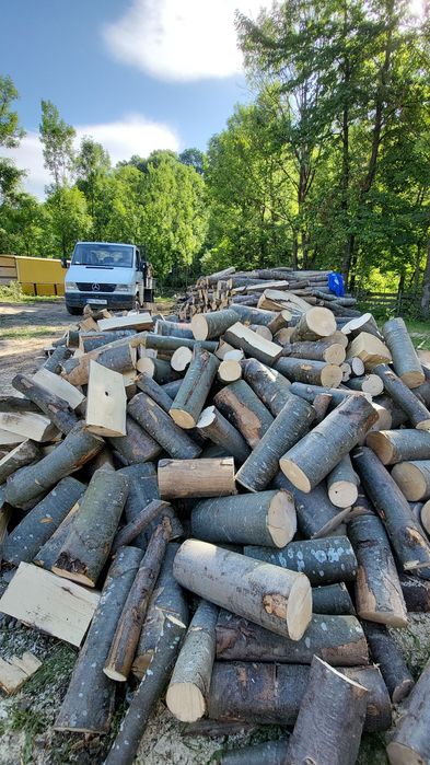 Lemne de foc fag chituci