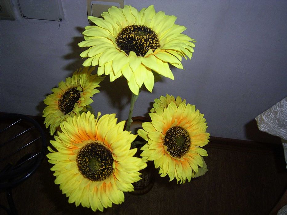 фотоапарат Ricoh Caplio RR30