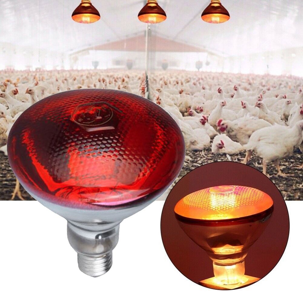 Инфракрасная лампа для обогрева цыплят кур бройлер несушка бруд клет