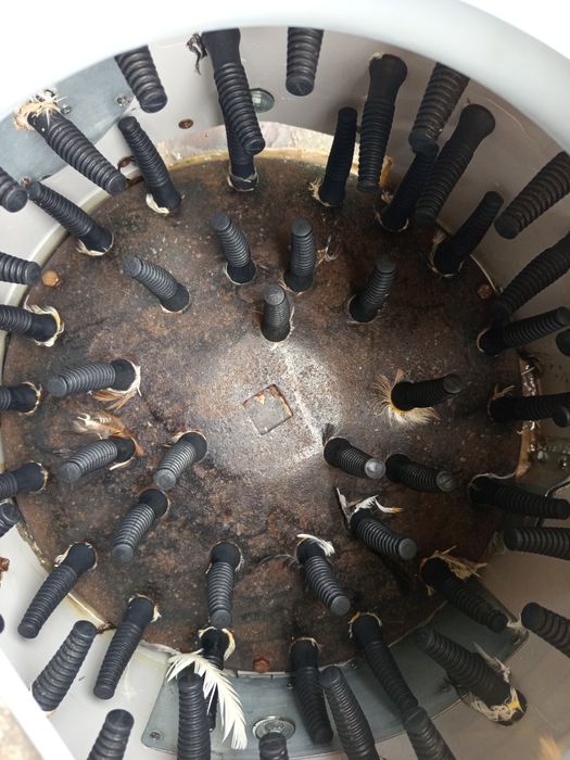 Продавам машина за скубане на пера