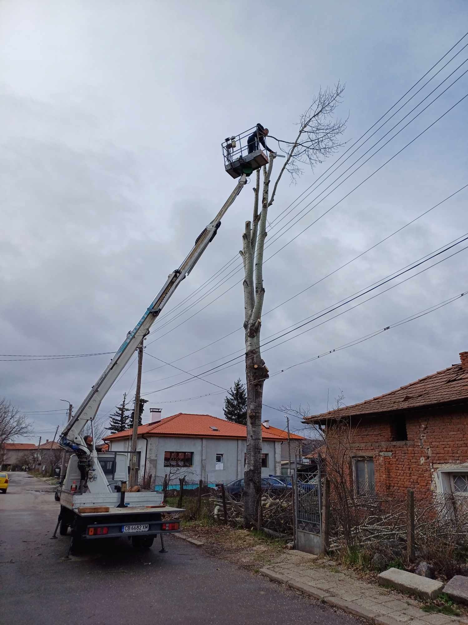 Рязане на опасни дървета косене извозване