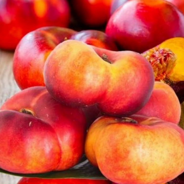 Pomi fructiferi deosebiti  Nectarin plat lapos