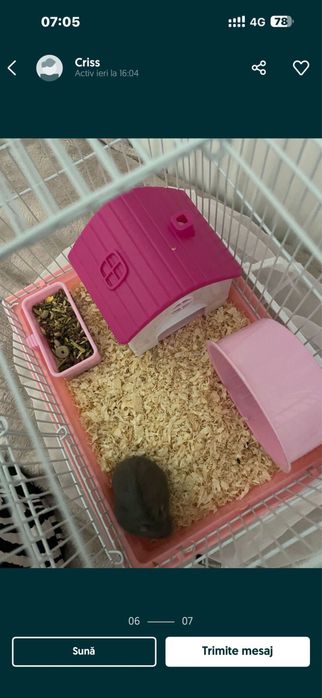Vand hamster cu tot cu cusca