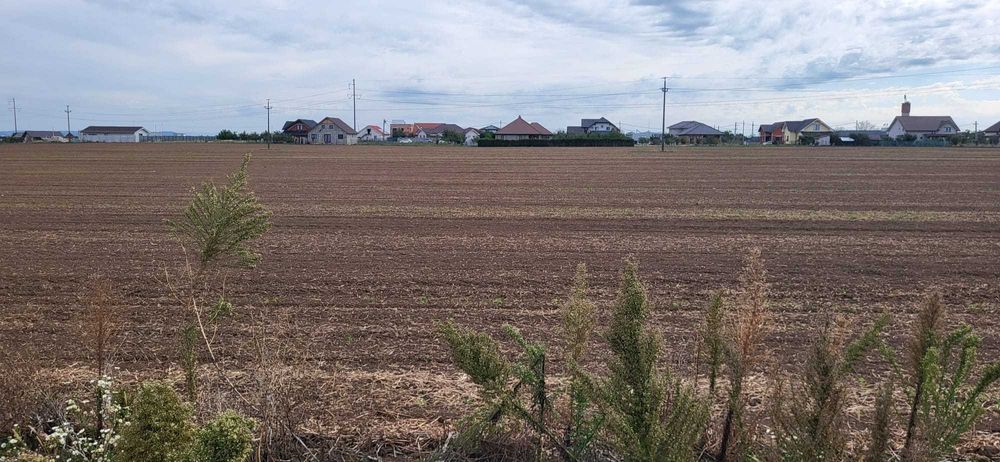 Teren intravilan 500m2 Livada de Bihor