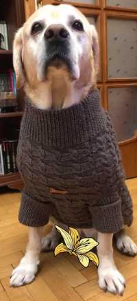 Плетен пуловер за куче