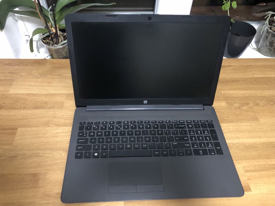 Laptop HP 255 G7 15.9 inch