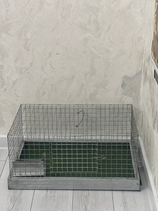 Qafas sotiladi xolati yaxshi