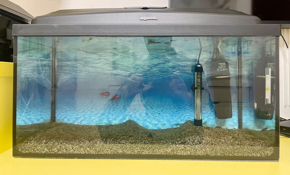 Аквариум оборудван