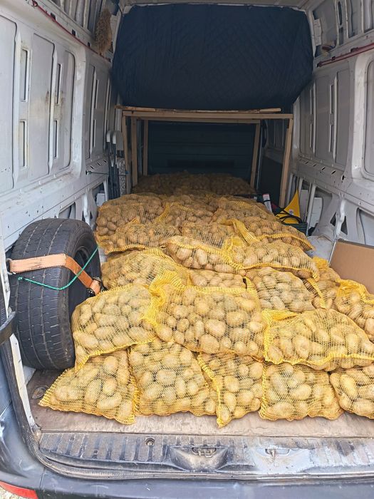 Cartofii albi proaspeți de Brașov