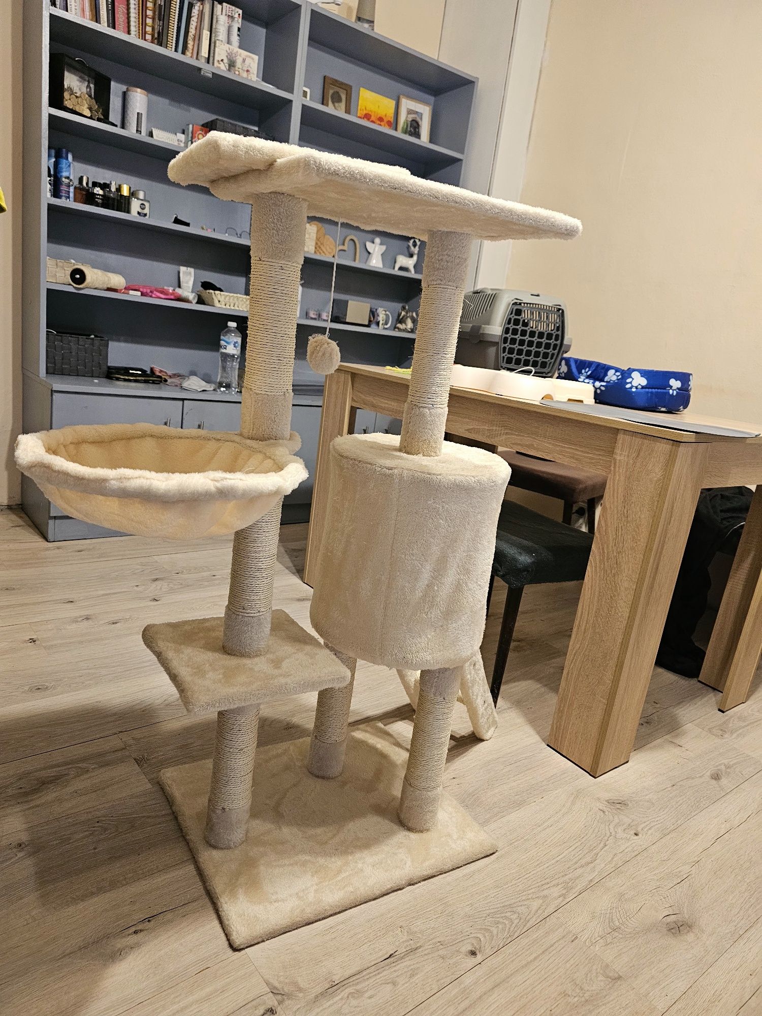 Комплект за котенце