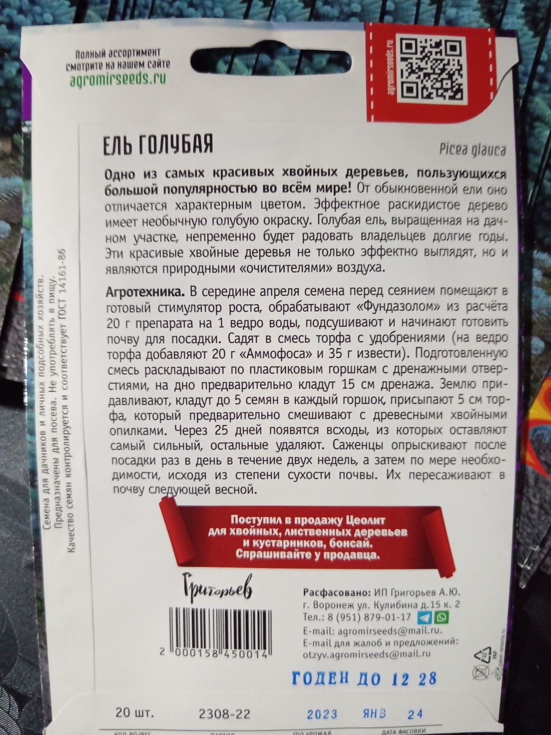 Голубая ель, уруглари,семена-Пицеа глаука.