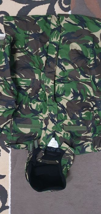 Scurtă mozaic pădure