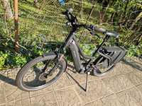 Bicicleta electrica Riese Muler