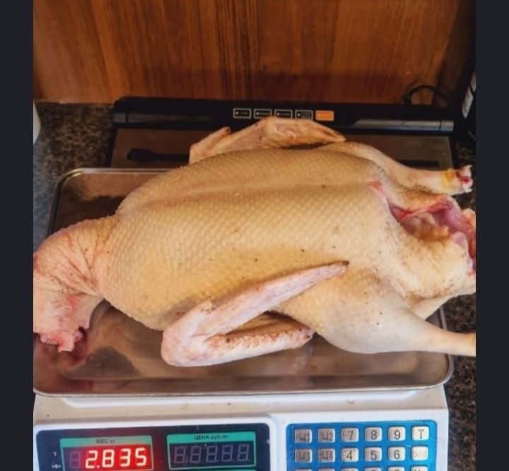 Продается Гуси.Мясо Гуся