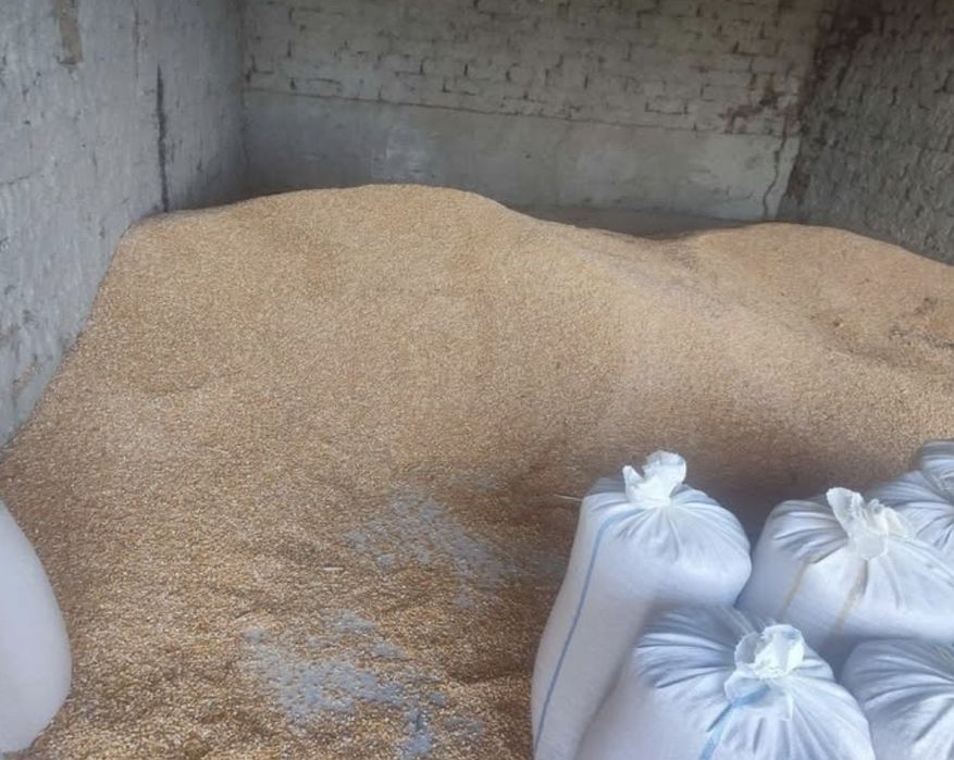 Porumb boabe 80 bani