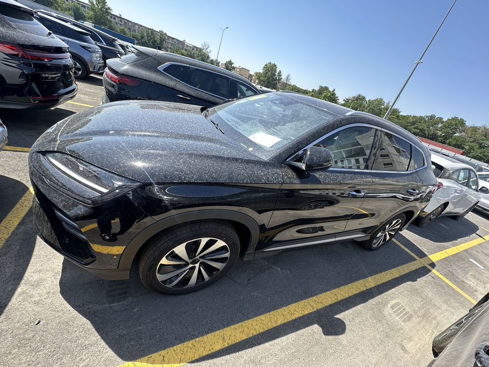 Byd chempion 605 flagship