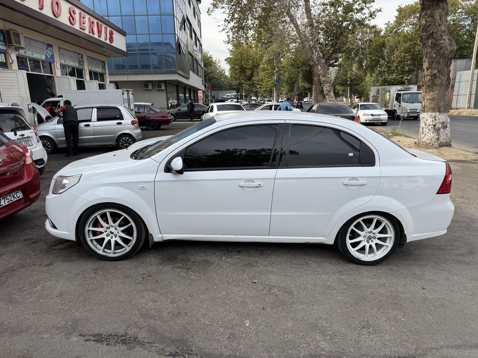 purjina choktirilgan tayor