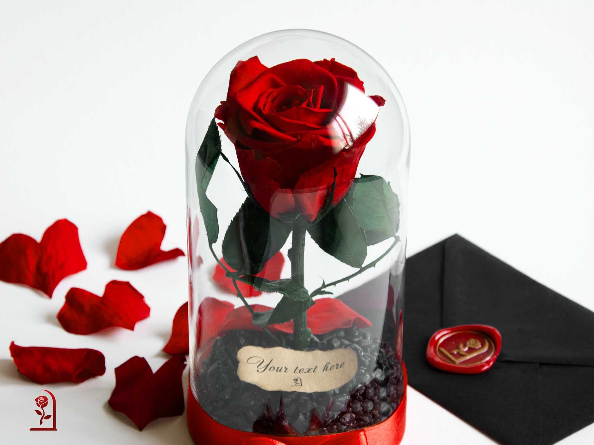 ЕСТЕСТВЕНА Вечна Роза в Стъкленица / Интересен Подарък за Рожден Ден