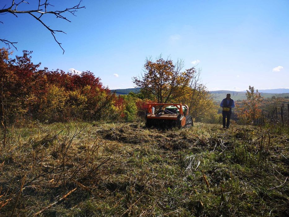 Servicii defrisare vegetatie, intretinere gradini si deszapezire