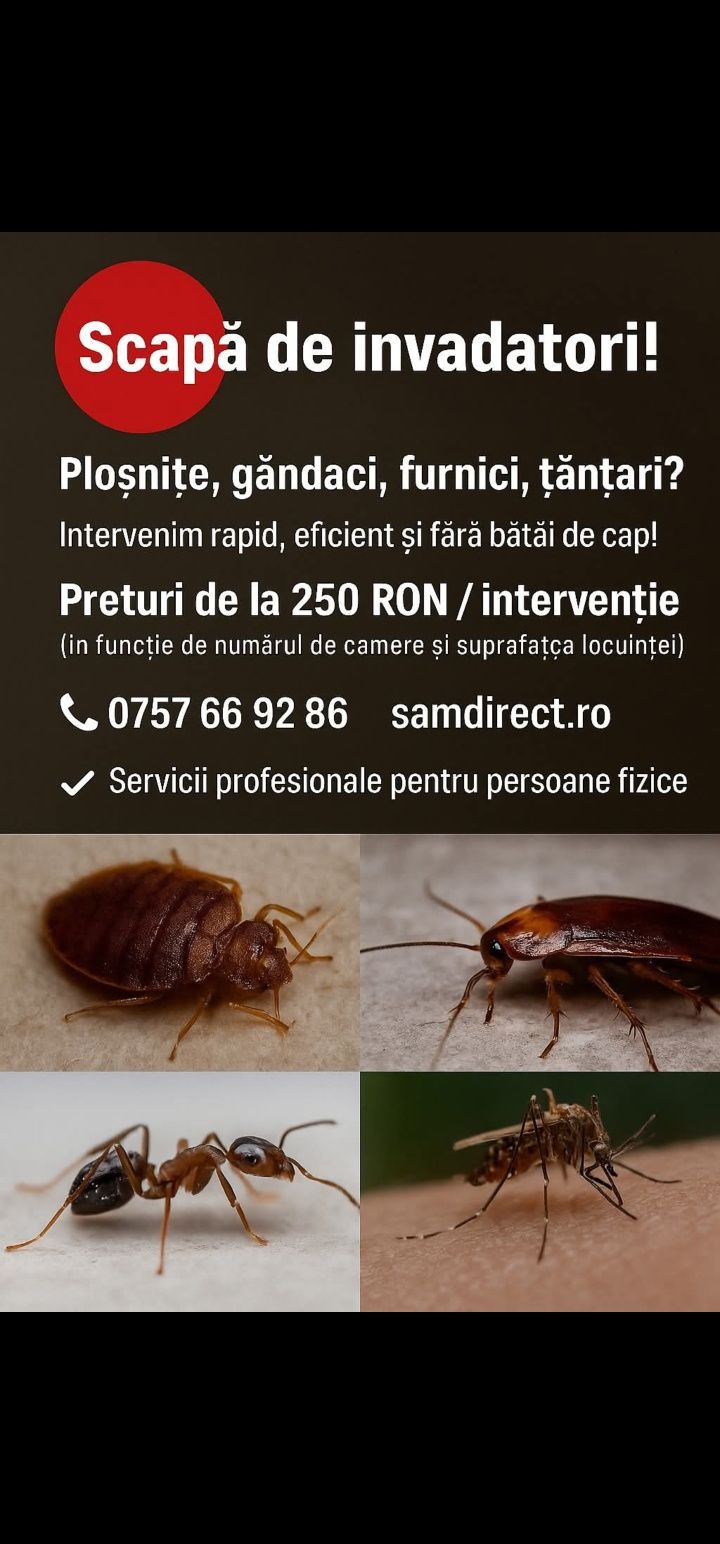 Dezinsecție Profesională – Gândaci, Ploșnițe, Furnici, Țânțari