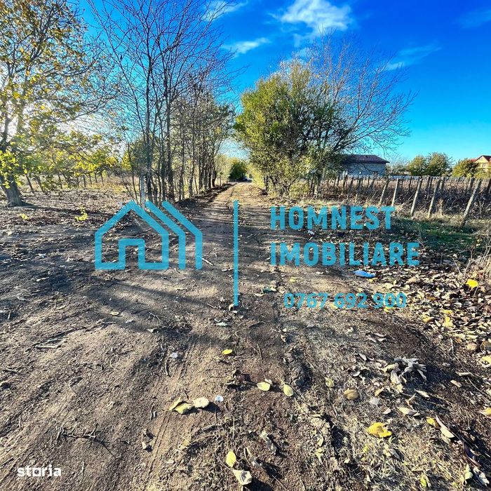 Stefanestii de Jos iIlfov | Teren 996.08 mp