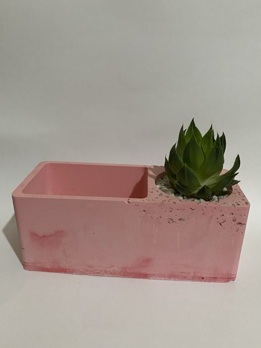 decor gul ofis uy guli